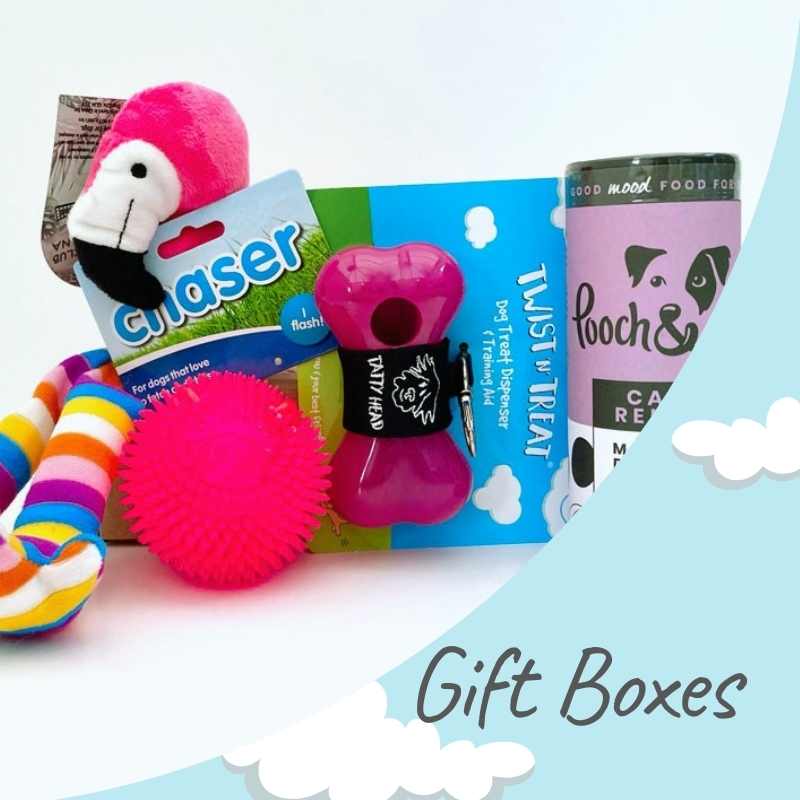 Gift Boxes for Dog Owners