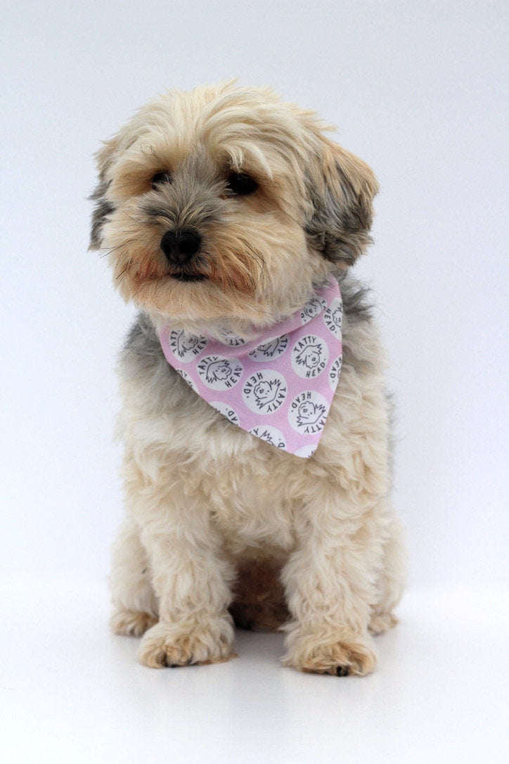 Pale pink small dog bandana side