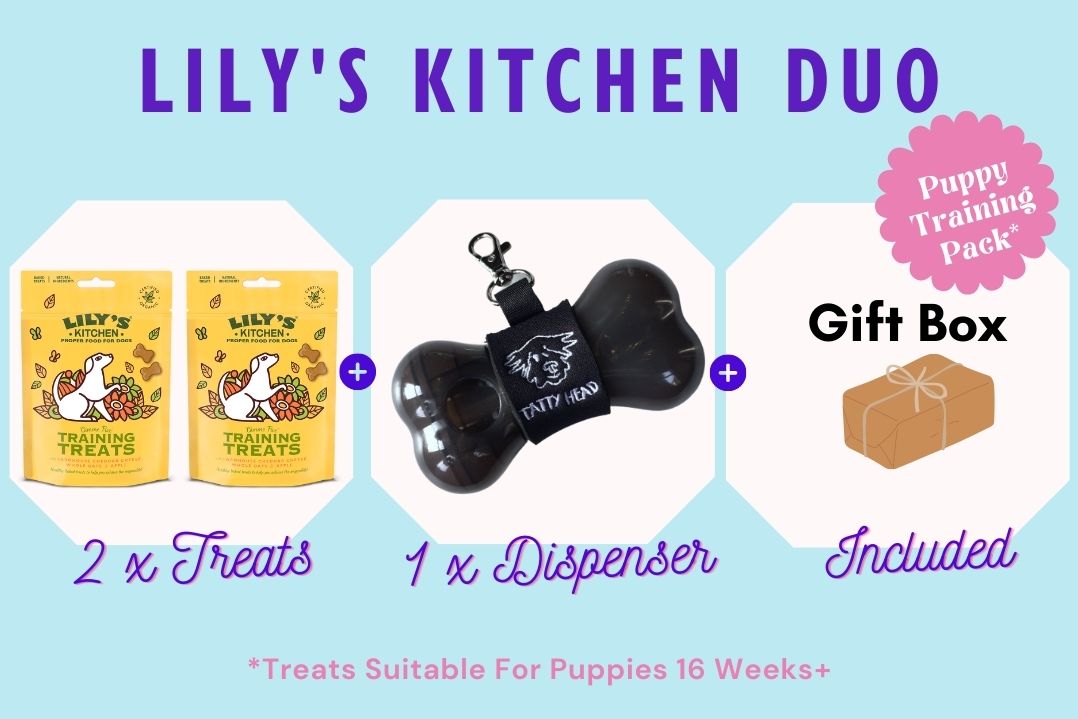 Treat Dispenser Combo with 2 x Lily's Kitchen Training Treats