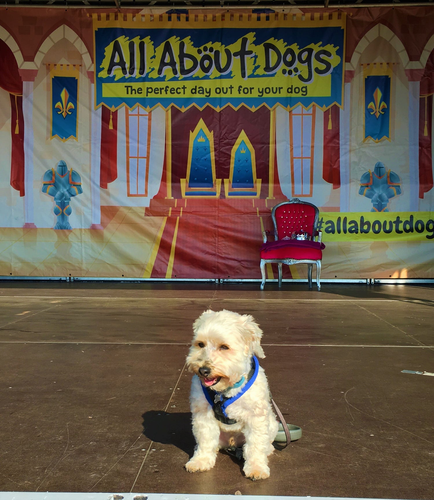 All About Dogs - Newark Showground