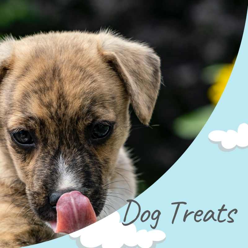 Dog Treats and Biscuits