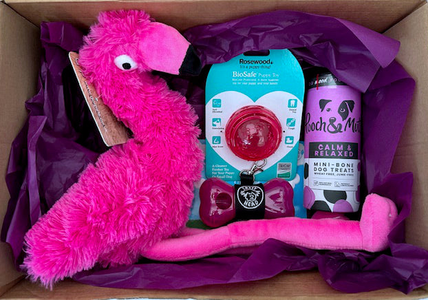 Dog Gift Box Pink