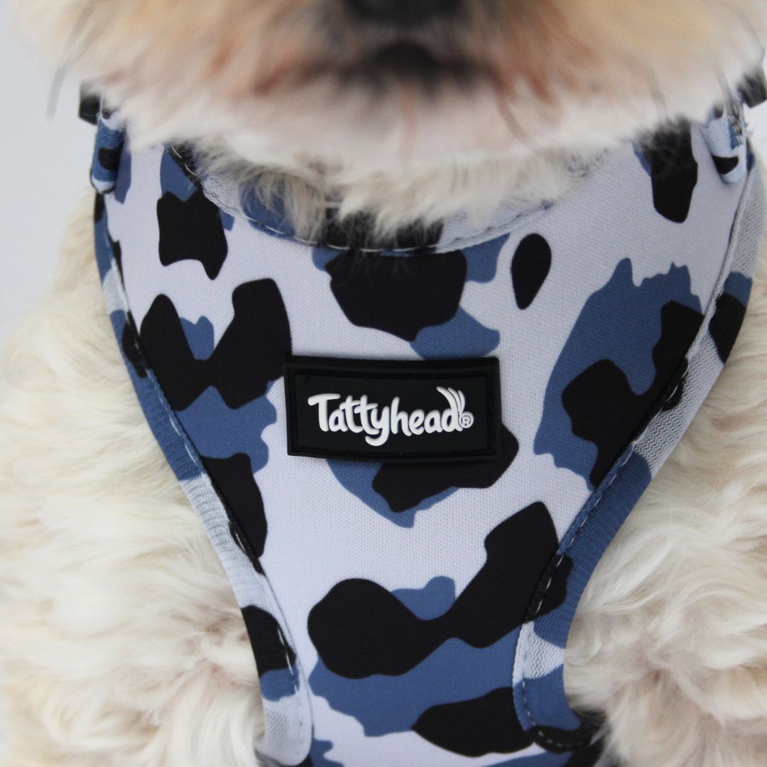 Blue Leopard Print - Adjustable Dog Harness