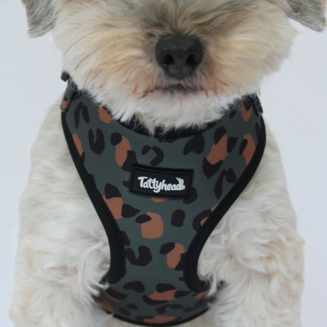 Khaki Safari Leopard Print - Adjustable Dog Harness