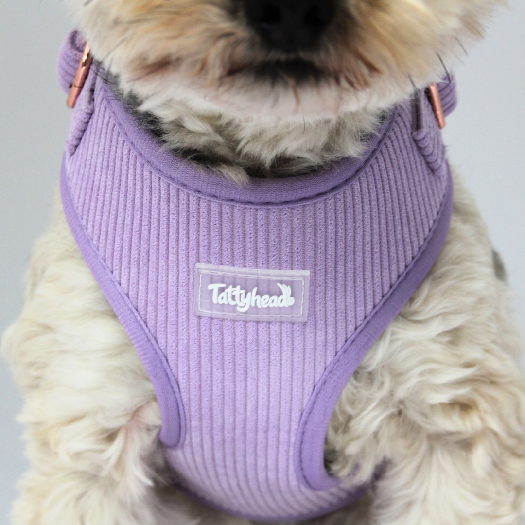 Lavender Lilac Corduroy - Adjustable Dog Harness
