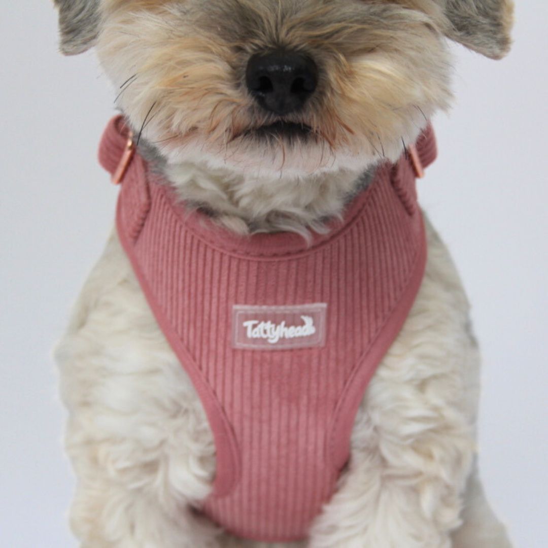 Petal Pink Corduroy - Adjustable Dog Harness