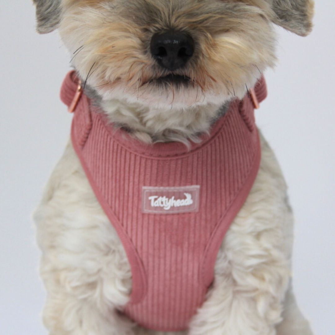 Petal Pink Corduroy - Adjustable Dog Harness