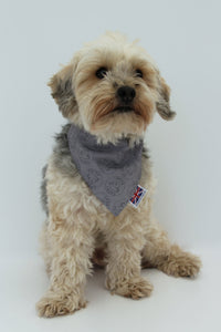 Yorkie poo in tatty head grey baby pink dog bandana