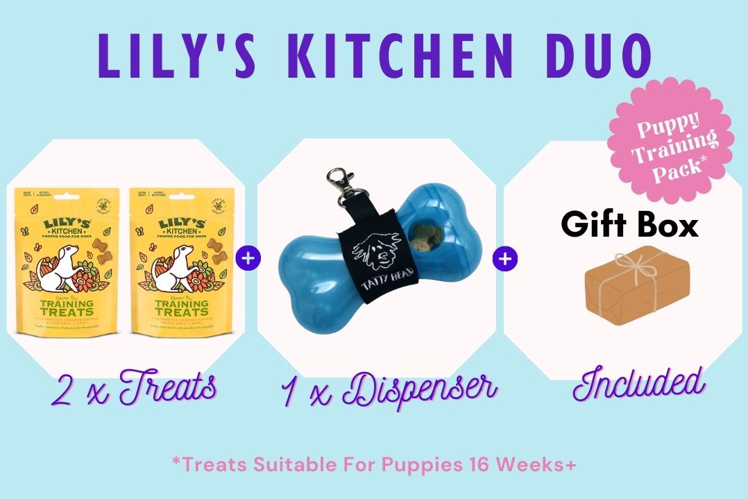 Treat Dispenser Combo with 2 x Lily's Kitchen Training Treats