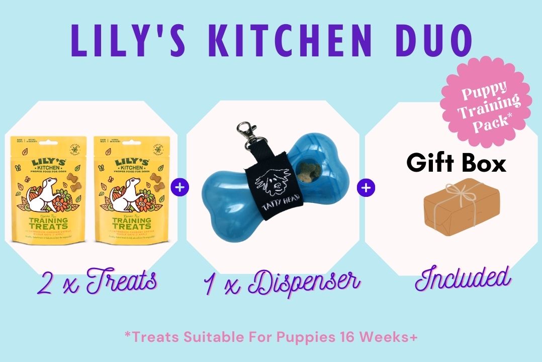 Treat Dispenser Combo with 2 x Lily's Kitchen Training Treats