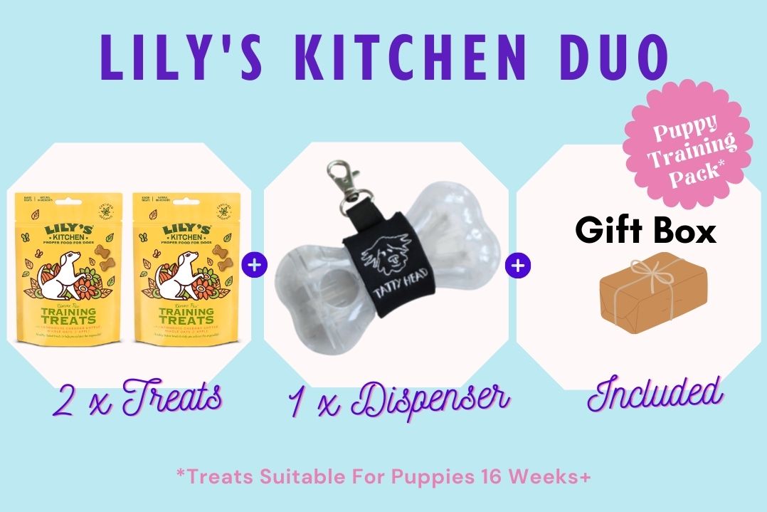 Treat Dispenser Combo with 2 x Lily's Kitchen Training Treats