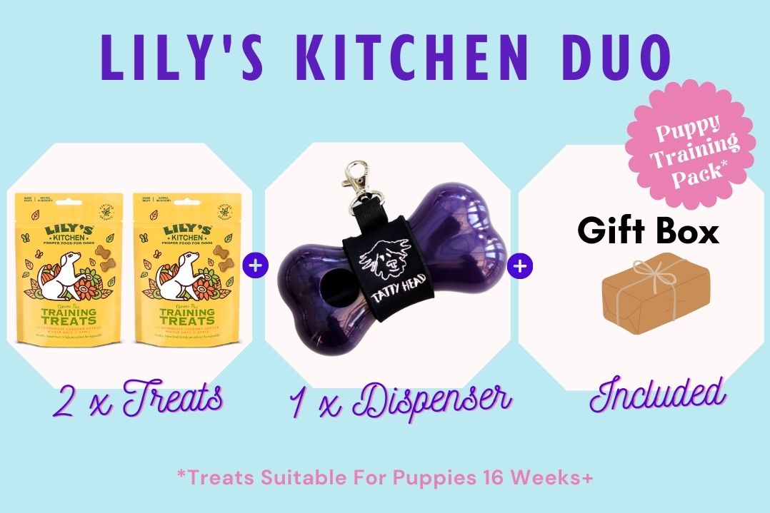 Treat Dispenser Combo with 2 x Lily's Kitchen Training Treats