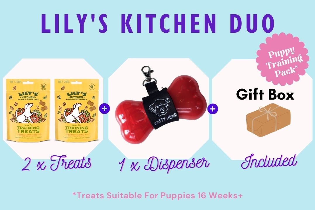 Treat Dispenser Combo with 2 x Lily's Kitchen Training Treats