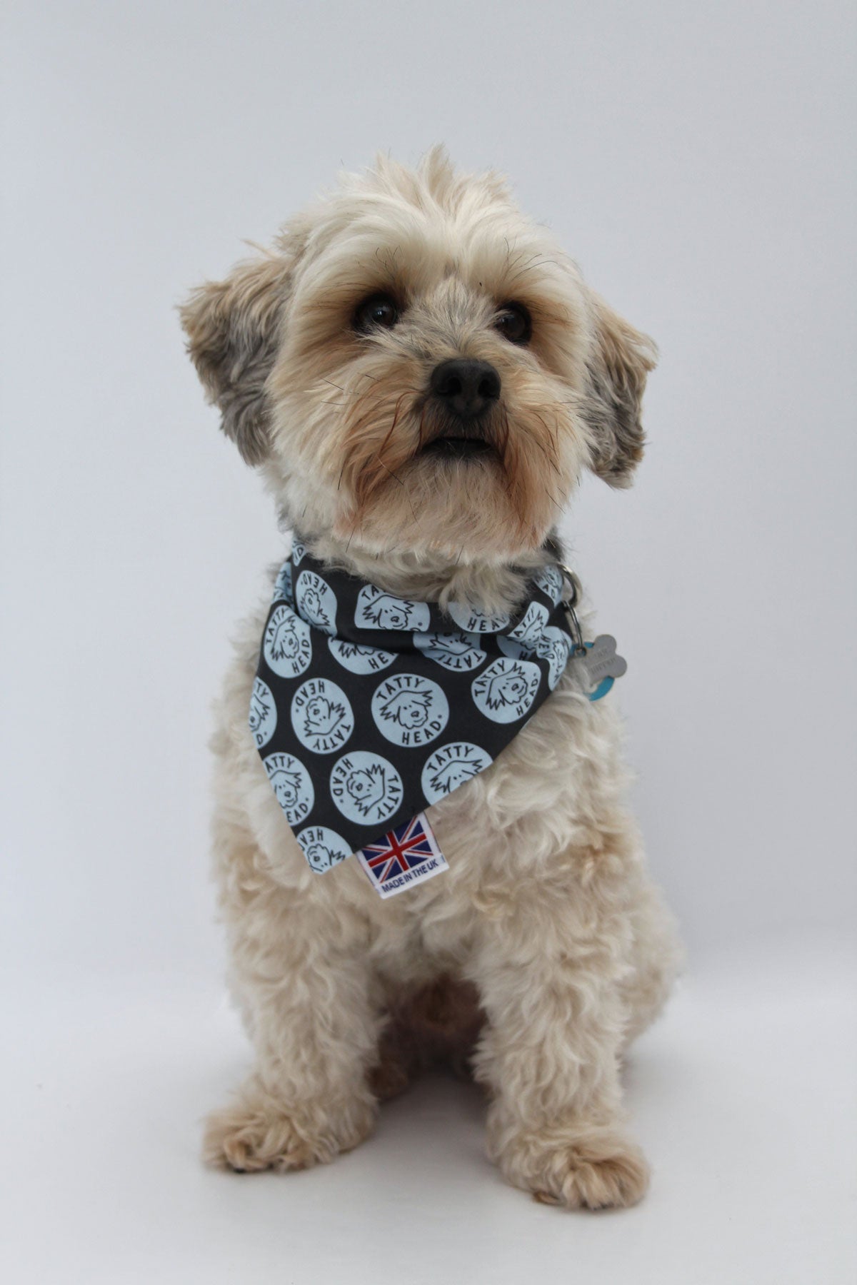 Yorkie Bandanas - Blue Yorkie Bandanas - Blue