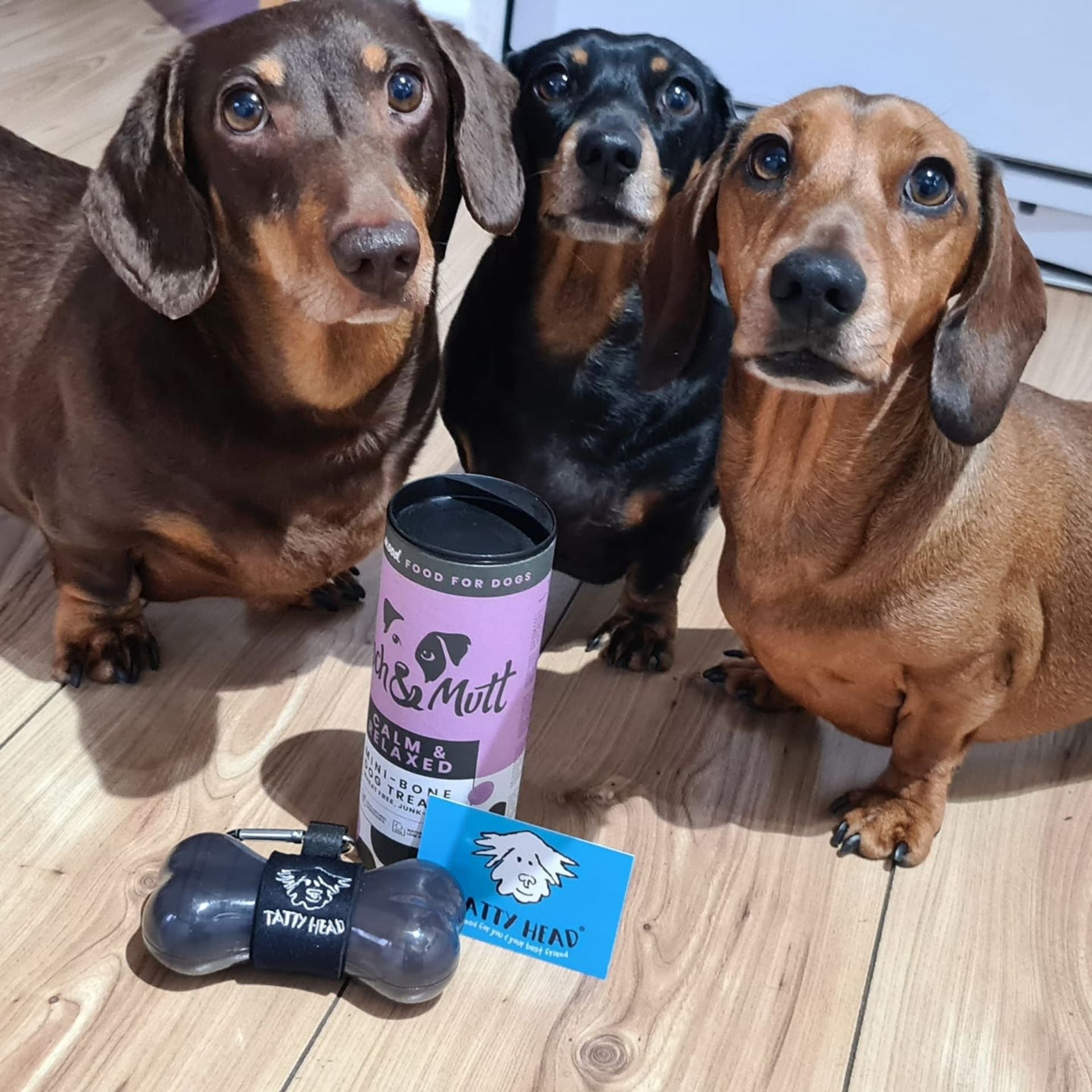 Grey Treat Dispenser and Dog Biscuit Duo Combo
